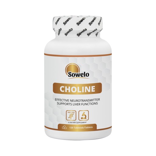 SOWELO CHOLINA 500mg 120 TABLIET