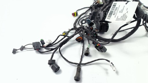 cablaggio elettrico DUCATI MONSTER positivo