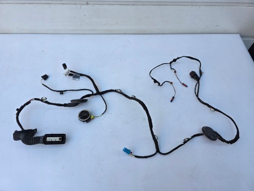 bundle wiring door of left PRZEDNICH left front AUDI Q5 80A