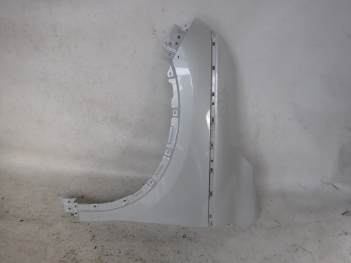 RENAULT KOLEOS II 16- fender left front front