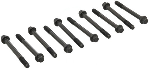 Комплект болтів головки блоку циліндрів ELRING 707.630