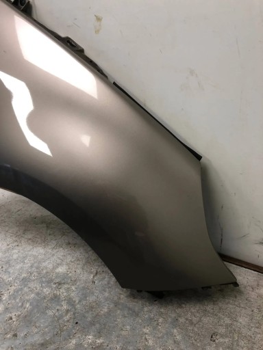 Kotflügel rechts vorne RENAULT SCENIC III TEHNK