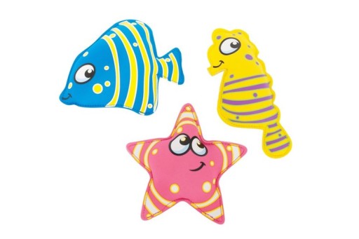 Дайвінг риба морський коник, риба і зірка