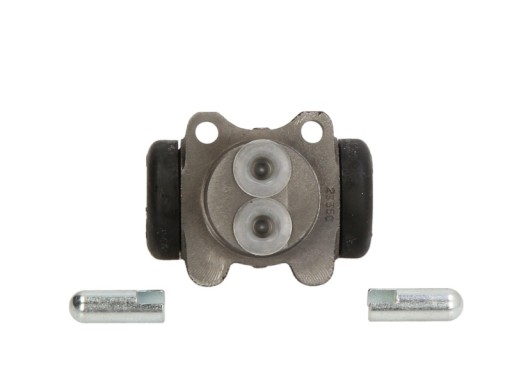 Тормозной цилиндр FTE R22036A1