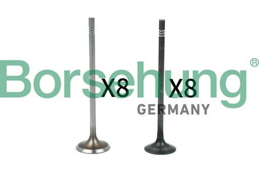 B18631 - ВИХЛОПНІ ВСМОКТУВАЛЬНІ КЛАПАНИ KPL BORSEHUNG