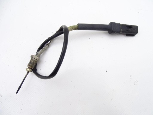 4902912ABAXJ - DAF LF 45 55 06-13 E4 / 5 датчик температуры выхлопных газов