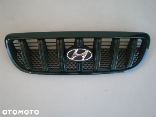 Hyundai Terracan 01-04r. GRIGLIA