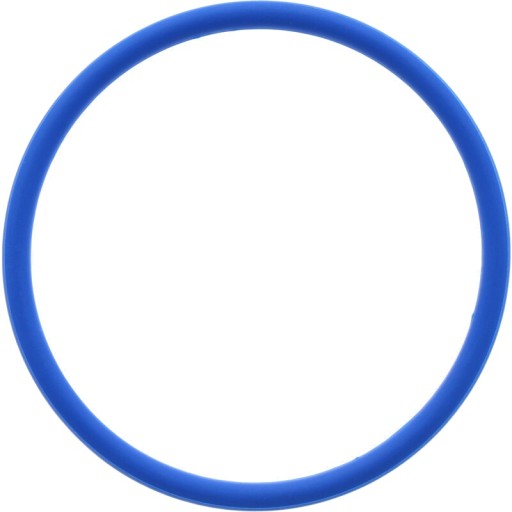 5450634313473 - Ущільнювальне кільце ZF для передньої осі Fendt