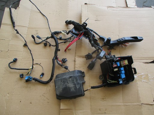 240119014R - Блок запобіжників dacia renault 240119014