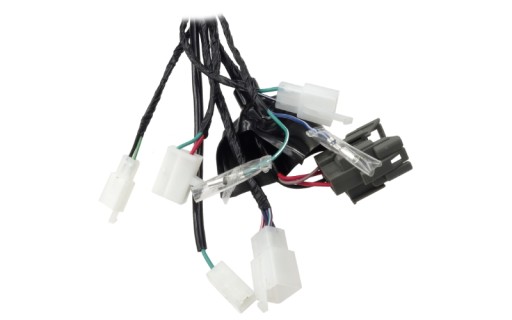 2099489968008 - Електропроводка для мопеда FR 2