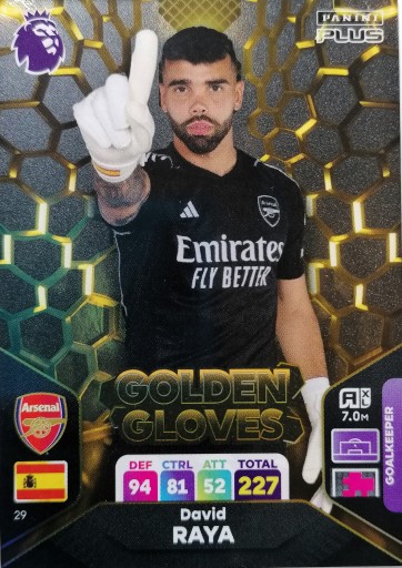 PREMIER LEAGUE 2024 PLUS GOLDEN GLOVES 29 DAVID RAYA ARSENAL