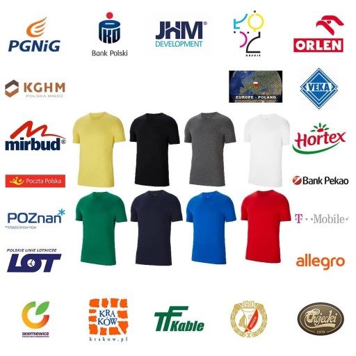 Koszulka Nike Park 20 TEE CZ0881 071 10596143022 Odzież Męska T-shirty KF EMKMKF-4