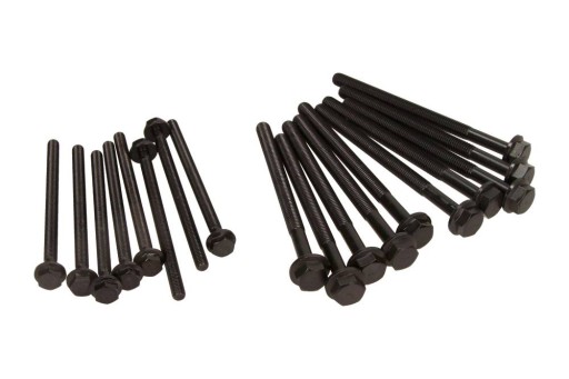 14-32341-01 - Болты головки для Citroen FORD 2,2 TDCI JUMPER