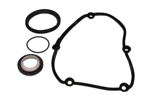 77006600 / AJS УЩІЛЬНЕННЯ-КОМПЛЕКТ КРИШКИ ГРМ V