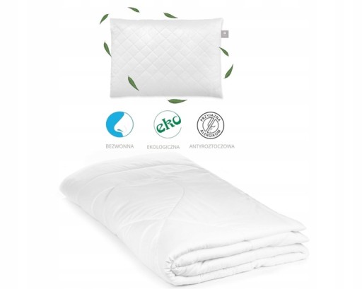 Ковдра 100 х 135 см + подушка 40 х 60 см