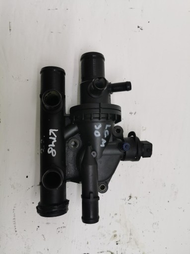 csomag TERMOSTATU RENAULT MASTER II 8200021008