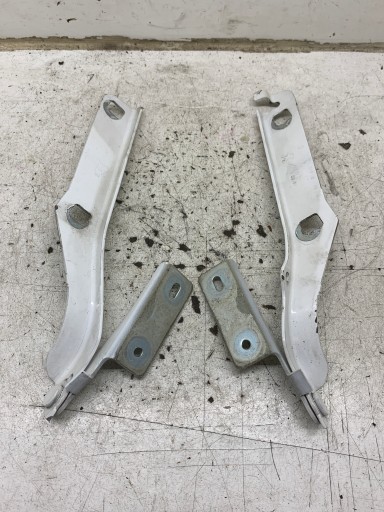 Cerniere cofano sinistra Destra 6980631380 CITROEN BERLINGO II EWPA KOMPLET