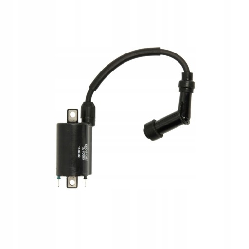 24 601 - КАТУШКА ЗАЖИГАНИЯ APRILIA LEONARDO