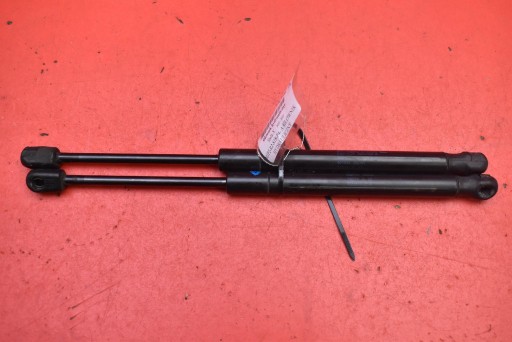 Vérins de coffre hayon HYDRAULICZNY du capot 1053606-00-B TESLA MODEL X 90D 15-21
