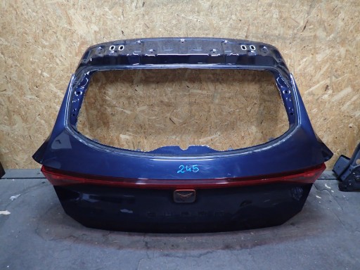 ЗАДНЯЯ ДВЕРЬ CURA FORMENTOR