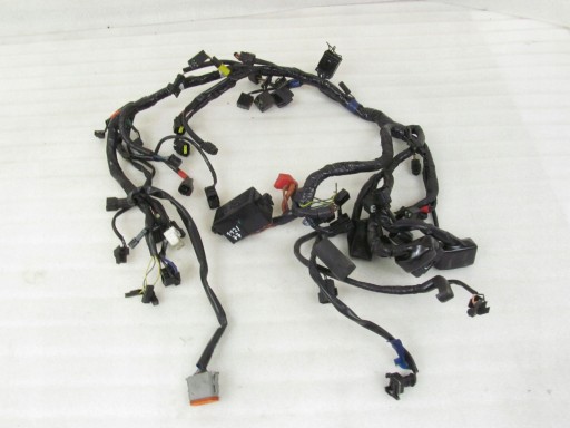 Джгут проводів Triumph Speedmaster 865, 15R