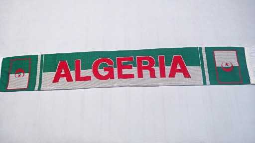 ШАЛФ - АЛЖИР - В'ЯЗАНИЙ ДВОСТОРОННИЙ.