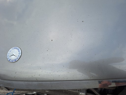 MERCEDES W169 A-KLASA 2004- Wasserkastenabdeckung Wasserkasten heckklappe kofferraumdeckel Motorhaube Fronthaube motorhaube 748
