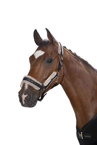 Ескадрон 1 недоуздок (поні) чорний