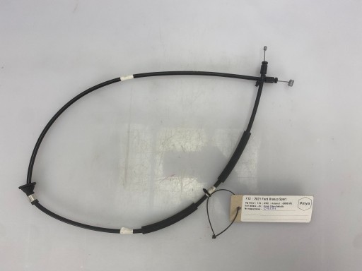 Gurte Band Ford Bronco Sport 2020+