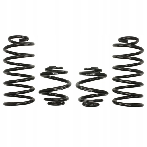 ICNT/E10-81-003-02-22/ZAPS - Пружины EIBACH Pro KIT Seat Leon 1m1