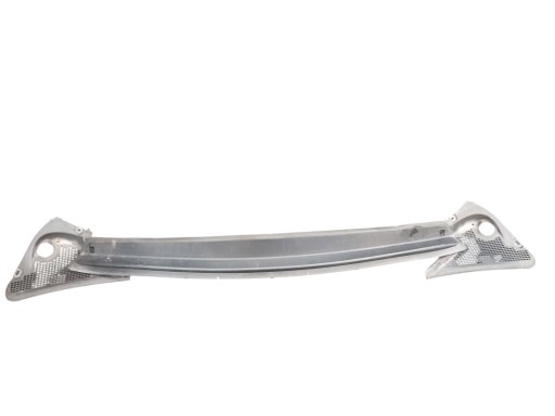 torpedo complete RENAULT SCENIC III (09-11) 668110005R