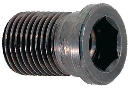 Винт 6-кат. с отверстием LT35