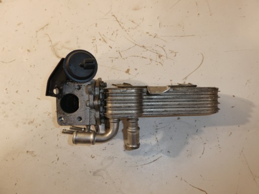 KÜHLER EGR AUDI SEAT SKODA VW 1.9 TDI 038131513AD