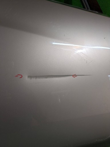 Tür hinten rechts rechts heck NISSAN LEAF II 18- NR.3322