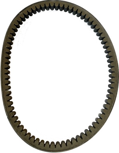 0589 - Ремінь варіатора 031