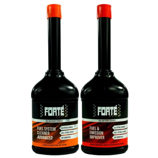 FORTE профилактика кольца катализатор бензин