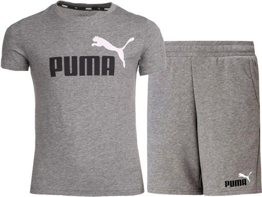 Комплект Puma 176, сірий