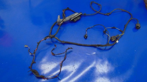 bundle wiring door right front BMW F10 F11