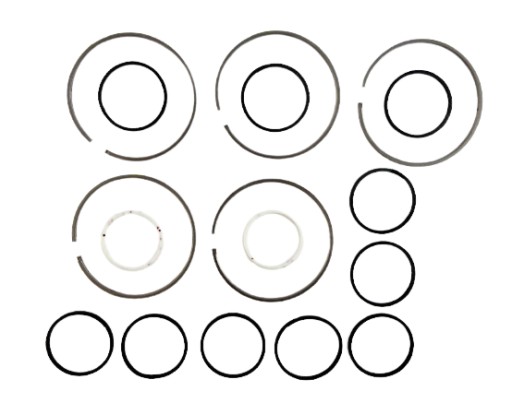 81001076 - ТЕФЛОНОВЫЙ НАБОР 45RFE 545RFE 65RFE 99+