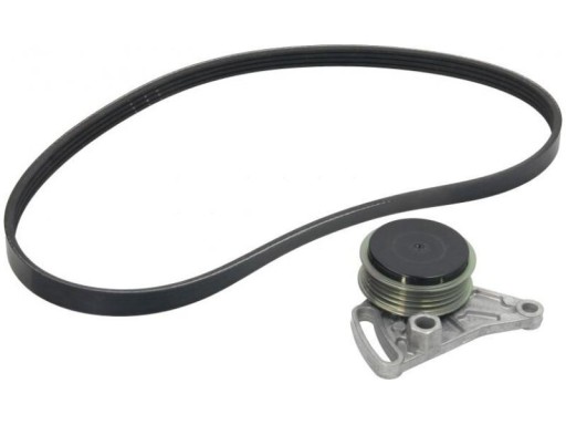 529 0099 - КОМПЛЕКТ РЕМЕНЯ З КЛИНОМ