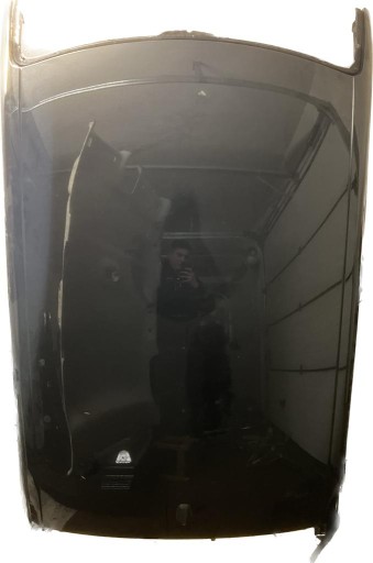 ДАХ RENAULT TWINGO III TEGNE