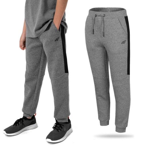 Спортивні штани 4F 164 сірі