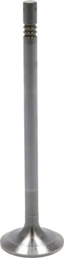 04903005 - Всмоктувальний клапан