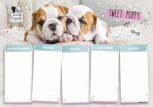 Дерформ план уроку