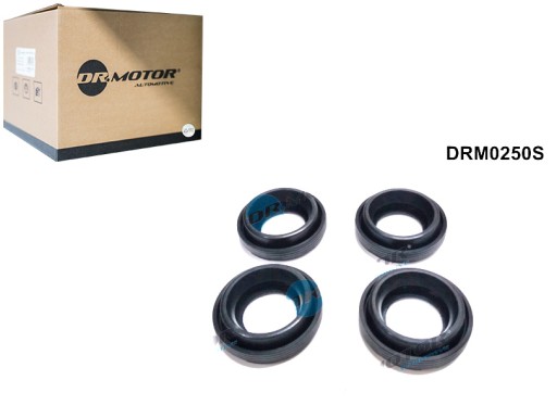 DRM0250S - НАБІР УПОРСКУВАНЬ PAL ДЛЯ TOYOTA 2.0 D 07-4PCS DR.MOTOR AUTOMOTIVE