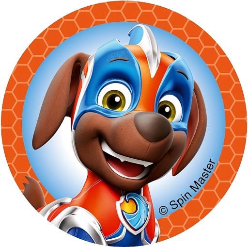 psi patrol mighty pups