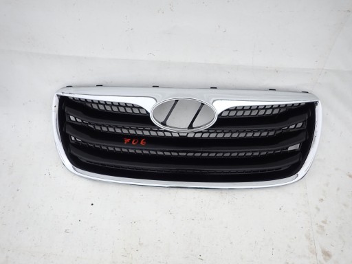 HYUNDAI SANTA FE II 2 LIFT 09-12 grill grille