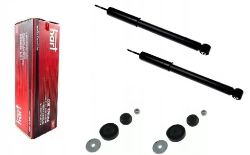 ALL5767 - Амортизаторы MERCEDES A B Class W169 W245 задний комплект