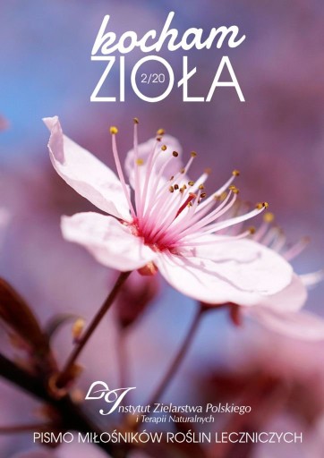 Kocham Zioła 2/2020 - ebook