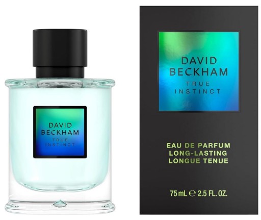 david beckham true instinct